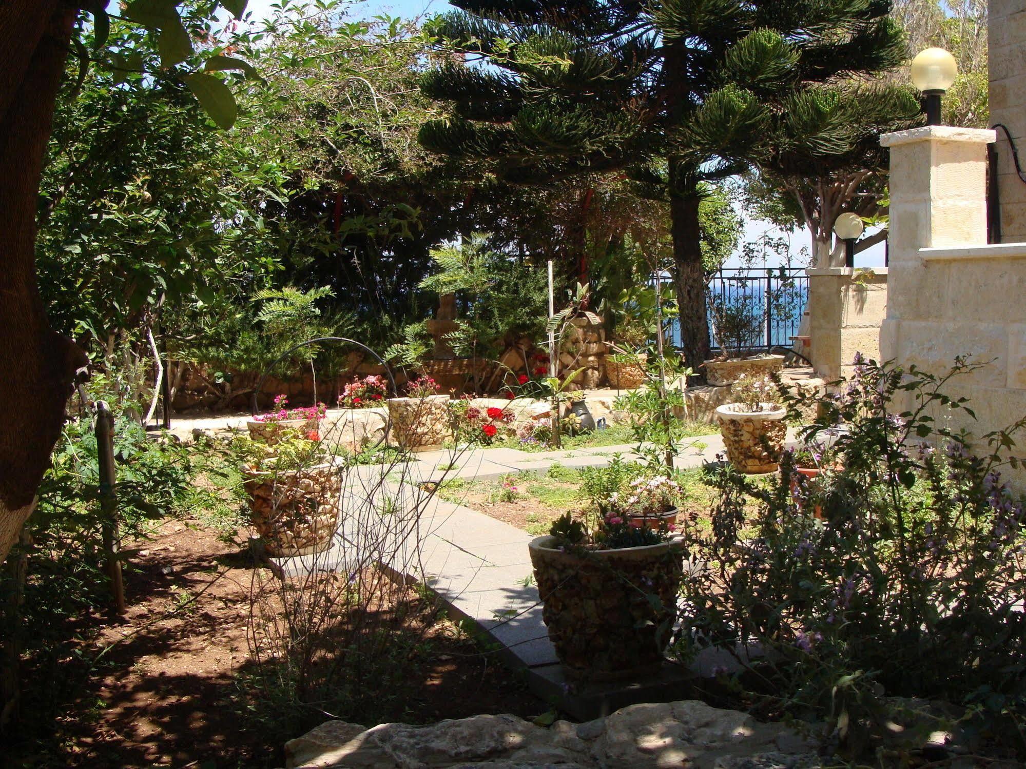 Tamer Guest house Haïfa Extérieur photo